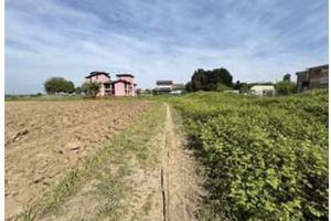 RGE 27/2024 Tribunale Verona - Lotto 2)