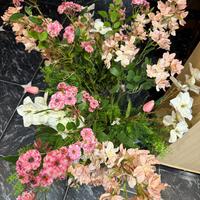 Vaso con fiori molto particolari