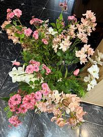 Vaso con fiori molto particolari