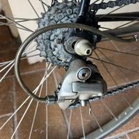 Bicicletta corsa moser