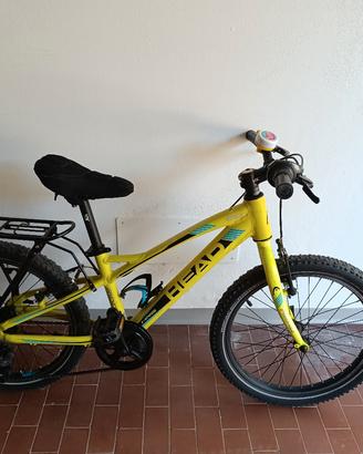 Bicicletta Mountain Bike MTB Head ruote 20 
