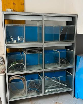 Batteria per pesci da sistemare qualche vasca legg