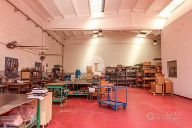 CAPANNONE A SANT'ANGELO LODIGIANO