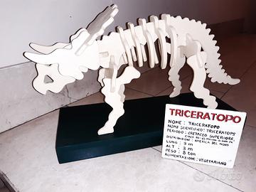 Scheletro Triceratopo in legno. 