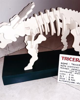 Scheletro Triceratopo in legno. 