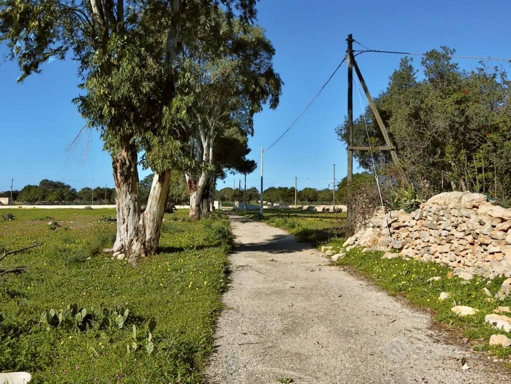 Rustico / Casale di 6392 m² con più di 5 locali a - Vista 5