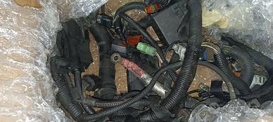 Cablaggio iniettori Ford Fiesta