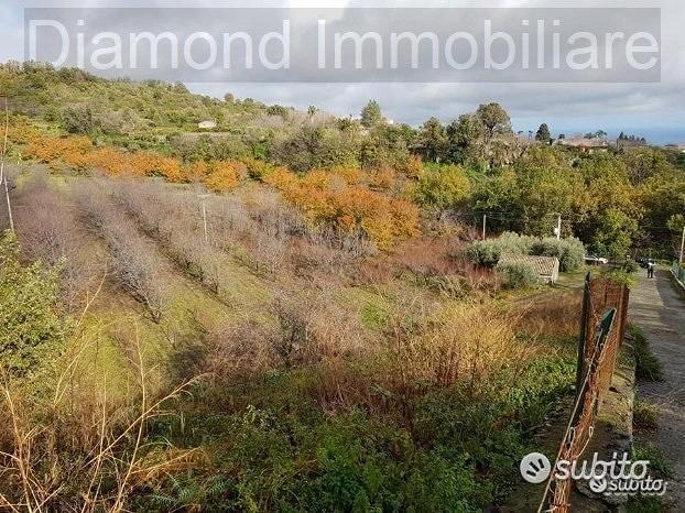 Terreno 5 ettari con fabbricato Piedimonte Etneo - Vista 2