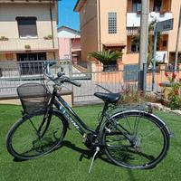 Bicicletta VICINI donna
