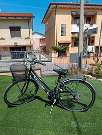 Bicicletta VICINI donna