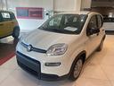 fiat-panda-my23-1-0-70cv-hybrid-panda-n70690