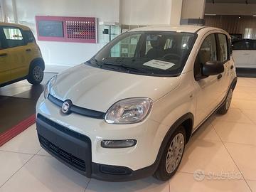 FIAT Panda My23 1.0 70cv Hybrid Panda N70690