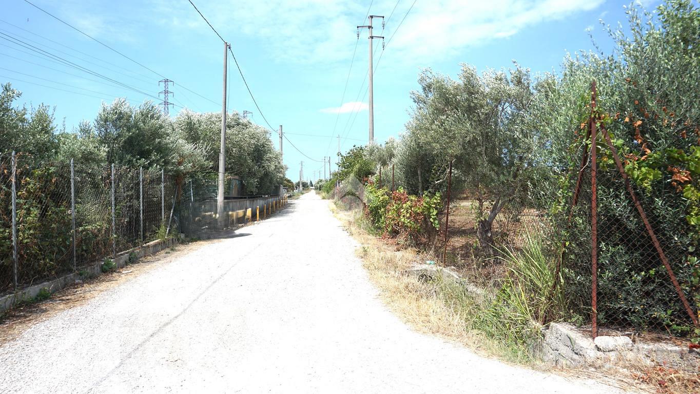 TER. AGRICOLO A EBOLI - Vista 4