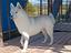 Immagine 4