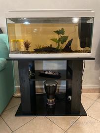 Acquario 80lt