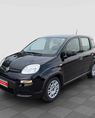 FIAT Panda Panda 1.0 FireFly S&S Hybrid