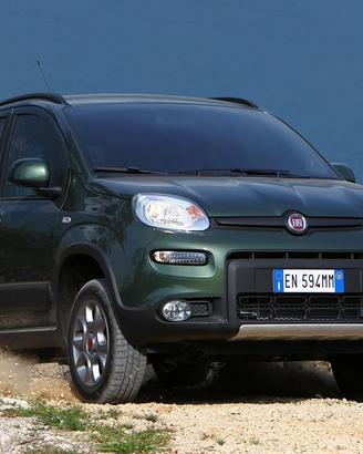 Fiat Panda 4x4 per ricambi