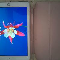 Ipad 2017