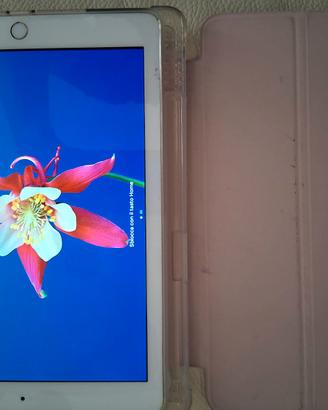 Ipad 2017