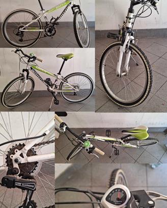 Bottecchia Boss
