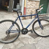 Mountain bike SHIMANO 26