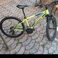 Mountain bike diametro 24