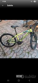 Mountain bike diametro 24