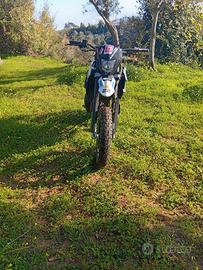 Motard Malaguti Ksr 50