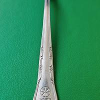 CUCCHIAINO HERCULES VARIG - COMP AEREA BRASILIANA