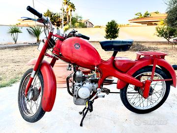 Motom 48