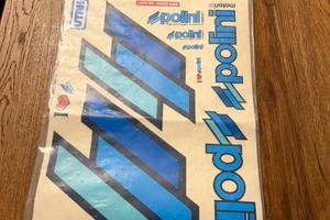 Tabella adesiva Polini rara