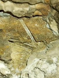 cristalli di gesso su matrice 