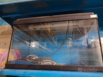 Acquario completo 