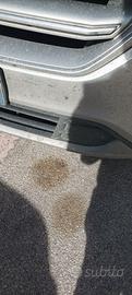FORS KUGA IMMATRICOLAZIONE