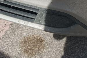 FORS KUGA IMMATRICOLAZIONE
