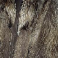 Pelliccia Lupo Siberiano!