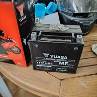 Batteria moto YUSA YTX14
