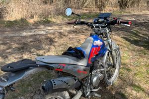 Beta alp 200