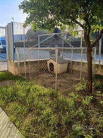 Recinto per Cani e Animali Domestici da Esterno