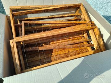 telai da nido e melario