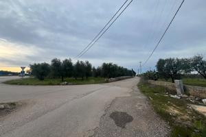Terreno fronte strada 98