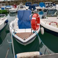 barca open 5 metri Conero