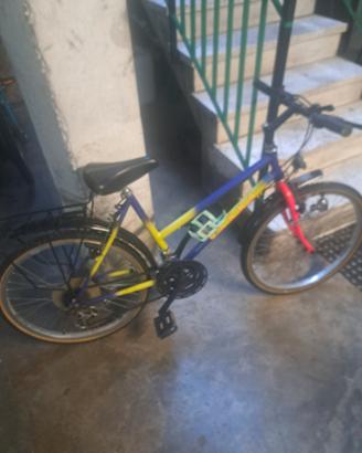 2 bici