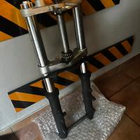 Forcelle anteriori t max 2012 abs