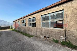Capannone Industriale Anagni [Cod. rif 3275215ACG]