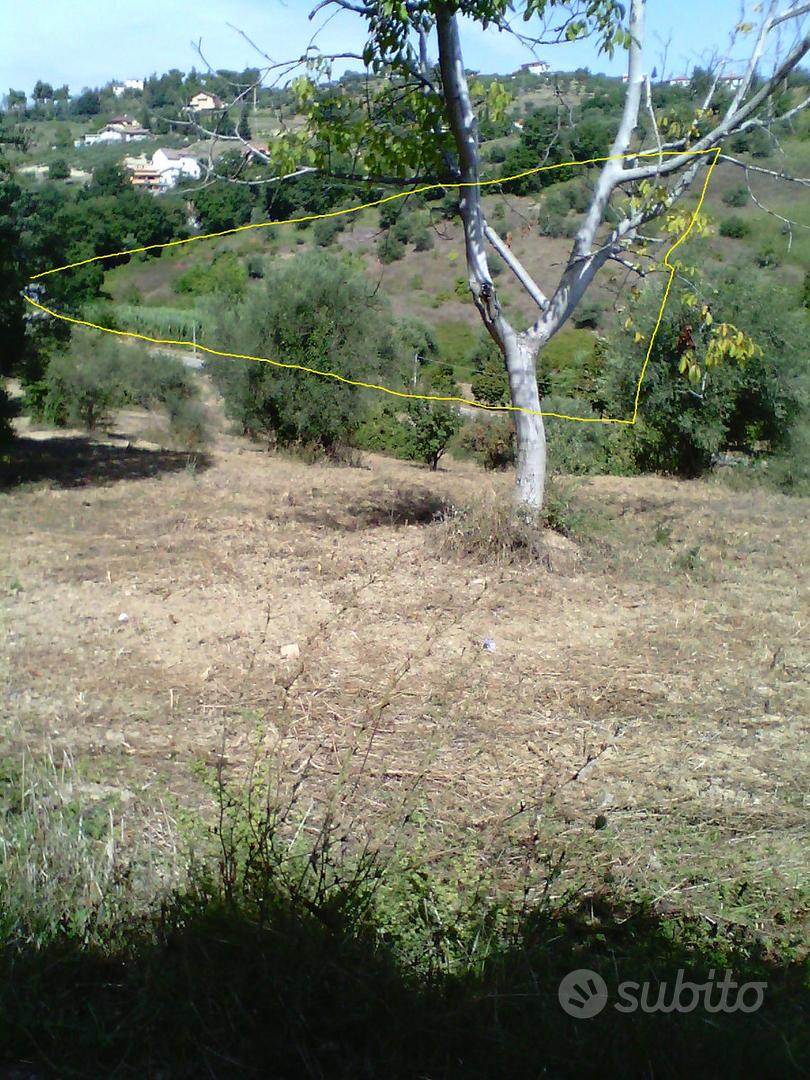 Terreno agricolo - Vista 2