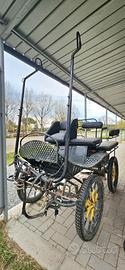 Carrozza per cavalli