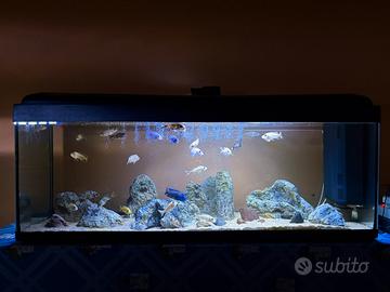 ACQUARIO COMPLETO - 450 litri