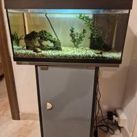 Acquario con mobiletto