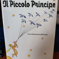 Il Piccolo Principe 